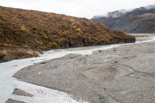 istock A braided river in Denali National Park. 1008161566