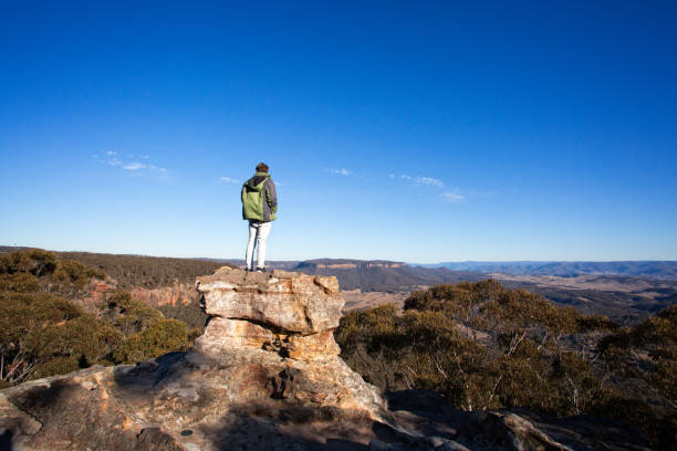 istock Fearless young man stands on rocky outcrop high above valley 1008174404