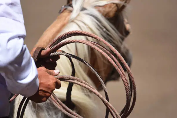Cowboy with rope in hands riding a horse