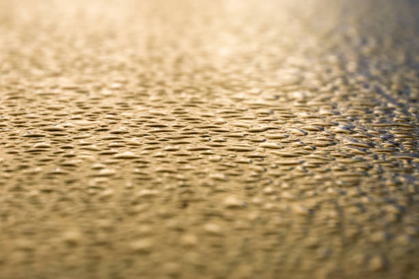 istock Wet surface of the car 1008186058