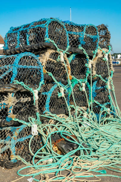 istock Mudeford, Christchurch, Dorset, England 1008197066