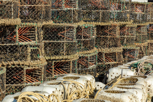 istock Mudeford, Christchurch, Dorset, England 1008197112