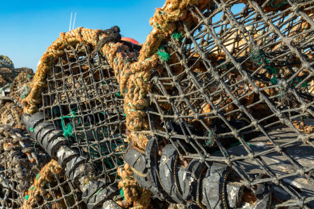 istock Mudeford, Christchurch, Dorset, England 1008197128