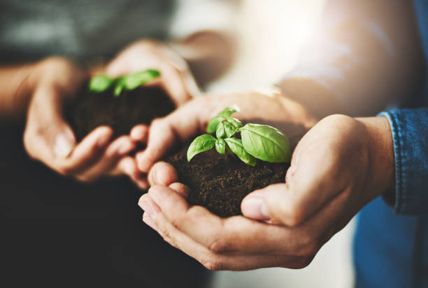 istock Your business will grow over time 1008207552