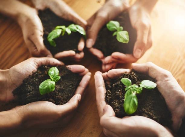 istock We each need to nurture our own dreams 1008207556