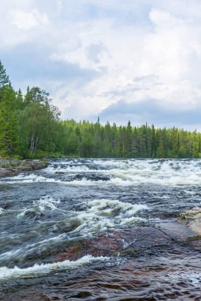 istock wild flowing water in a forest river in the north 1008226526