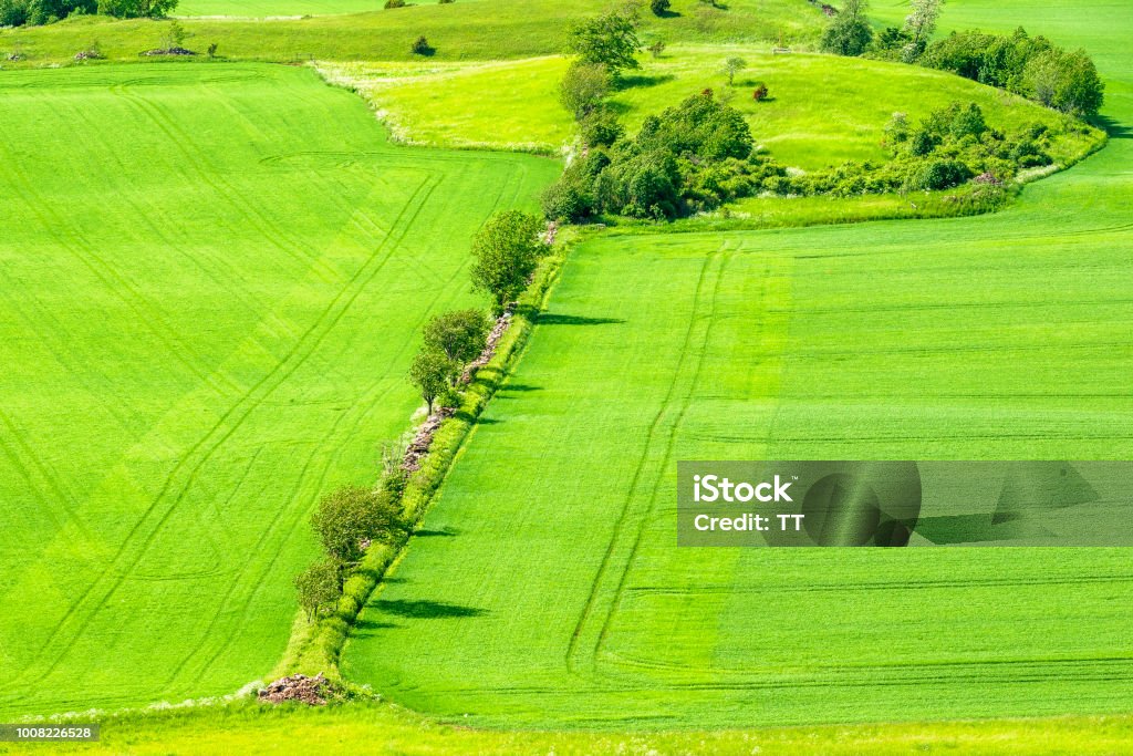 Trees and fields in a beautiful country landscape Aerial View Stock Photo