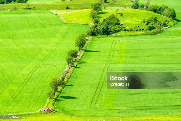 Trees And Fields In A Beautiful Country Landscape Stock Photo - Download Image Now - Aerial View, Agricultural Field, Agriculture