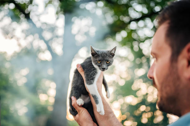 istock Close-up image of man hoding a small cat outdoors. Cute cat is looking at camera. 1008228922