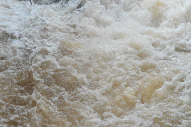 istock close up image of river -stock image 1008231598