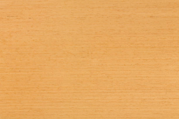 istock Natural oak veneer background on macro 1008241656