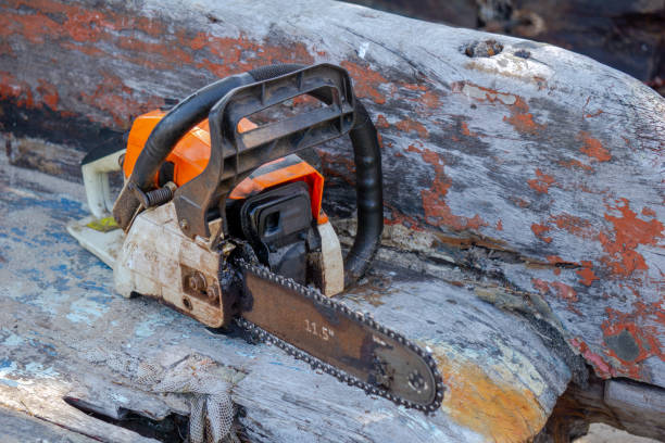 Orange gasoline engine portable chainsaw put on the old wooden plank Orange gasoline engine portable chainsaw put on the old wooden plank bucktooth stock pictures, royalty-free photos & images