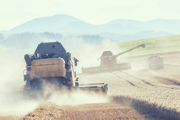 istock Combine harvester in work on wheat field. 1008254138