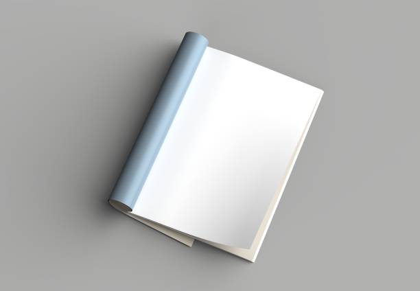 istock Magazine, brochure or catalog mock up isolated on gray background. 3d illustration 1008268676