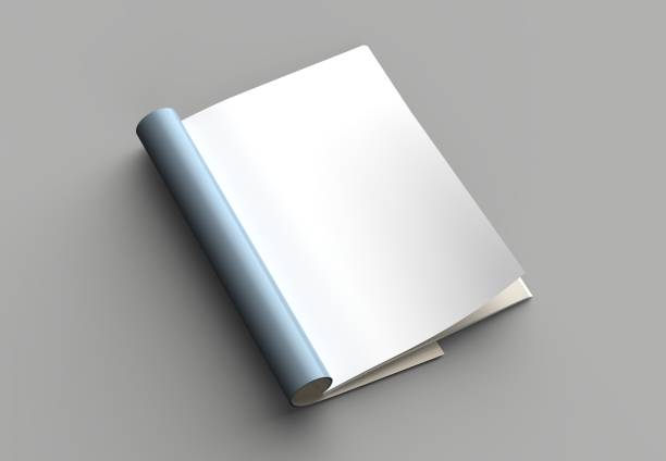 istock Magazine, brochure or catalog mock up isolated on gray background. 3d illustration 1008268818