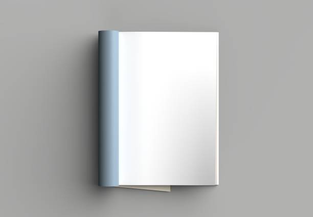 istock Magazine, brochure or catalog mock up isolated on gray background. 3d illustration 1008268990