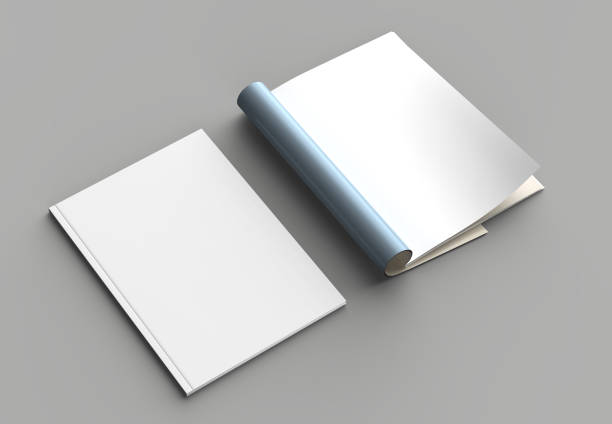istock Magazine, brochure or catalog mock up isolated on gray background. 3d illustration 1008271814