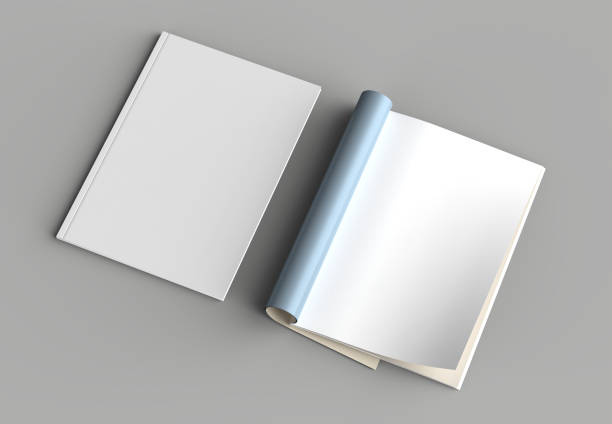 istock Magazine, brochure or catalog mock up isolated on gray background. 3d illustration 1008271988