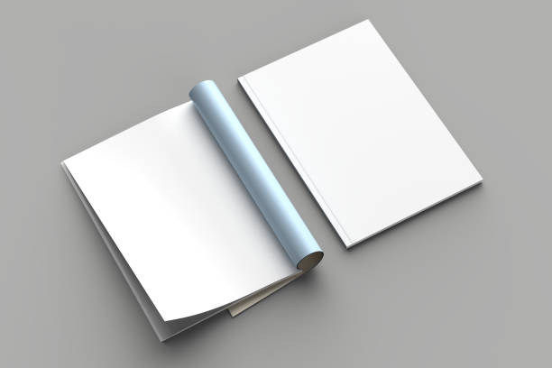 istock Magazine, brochure or catalog mock up isolated on gray background. 3d illustration 1008274972