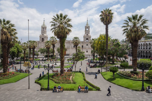 Arequipa city main square and cathedral. Palm and people relaxing and walking stock photo