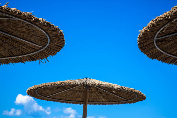 istock Wooden beach umbrella 1008277776