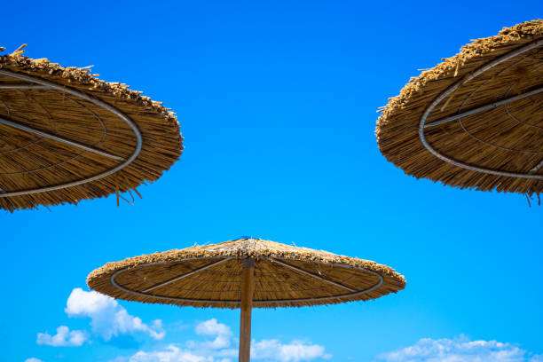 istock Wooden beach umbrella 1008277882