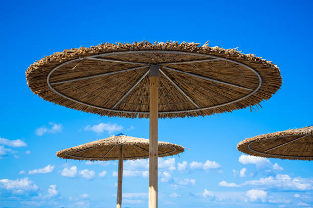 istock Wooden beach umbrella under the blue sky 1008277978