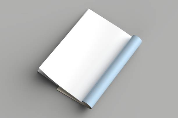 istock Magazine, brochure or catalog mock up isolated on gray background. 3d illustration 1008278584