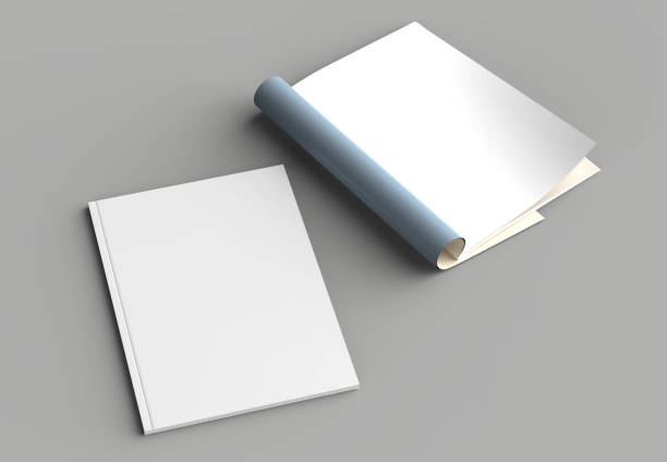 istock Magazine, brochure or catalog mock up isolated on gray background. 3d illustration 1008281590