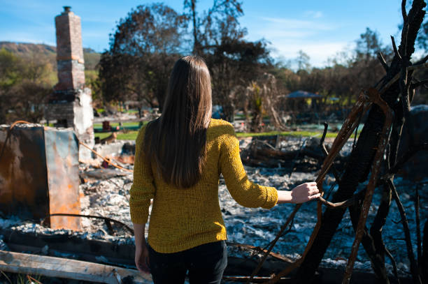 istock Consequences of fire disaster accident 1008287920