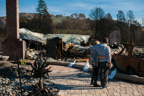 istock Couple checking consequences of fire disaster accident 1008290204