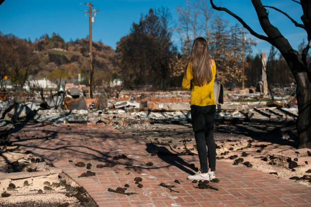 istock Consequences of fire disaster accident 1008290472