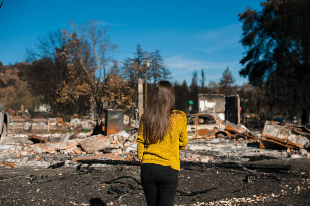 istock Consequences of fire disaster accident 1008290716