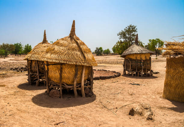 Traditional african granaries Traditional granaries made of woods and straw in an african village in Burkina Faso. They are on stilts to protect the crops against animals. granary stock pictures, royalty-free photos & images