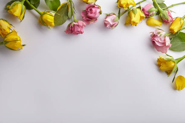 istock Elegant feminine mockup with small spring roses on white background with text space 1008297054