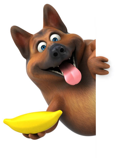 istock Fun german shepherd dog - 3D Illustration 1008305266