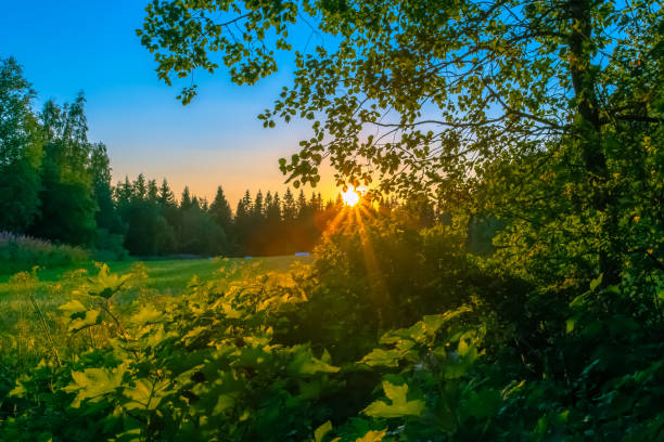 Summer night sunset from Sotkamo, Finland.