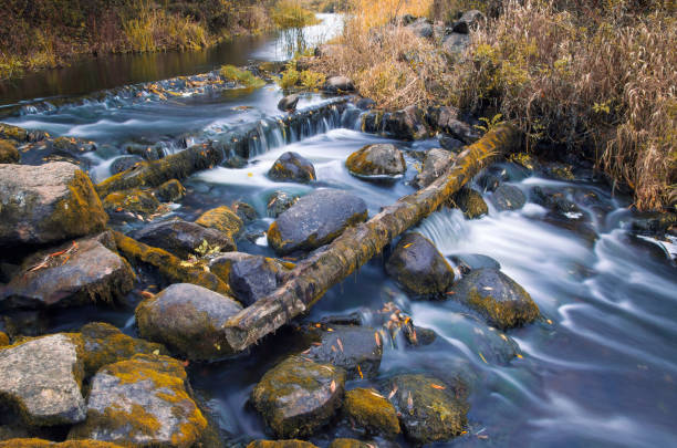 istock Autumn landscape with river smoothly flowing between mossy boulders 1008308908
