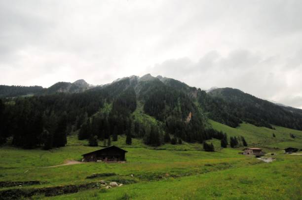 istock landscape of the mountains in austria 1008312546