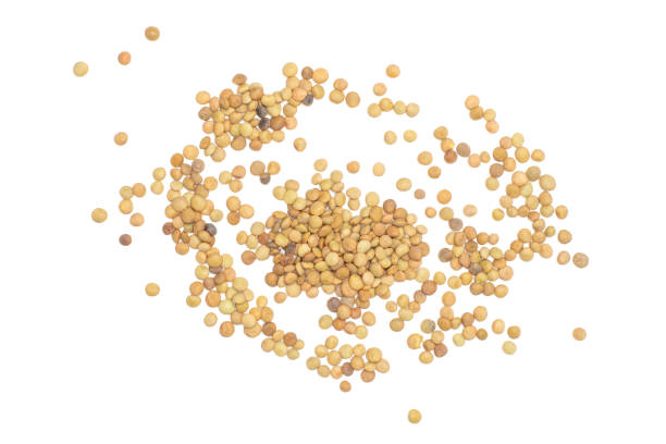 istock Raw green lentil seeds isolated on white 1008312688