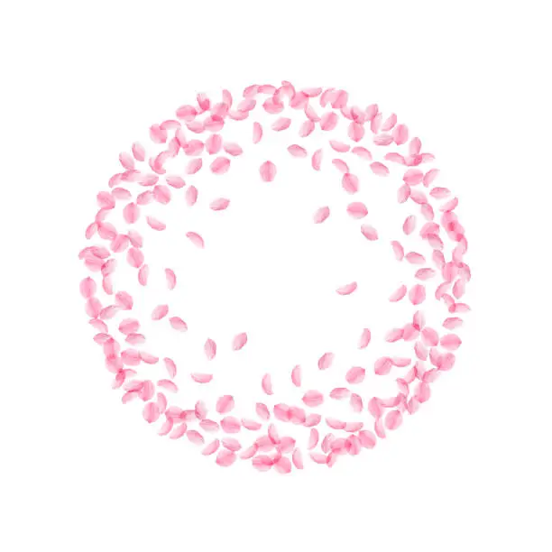 Vector illustration of Sakura petals falling down. Romantic pink silky small flowers. Thick flying cherry petals. Round fra