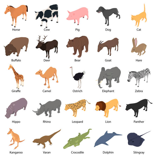 1,004 Background Of Funny Goat Face Illustrations & Clip Art - iStock