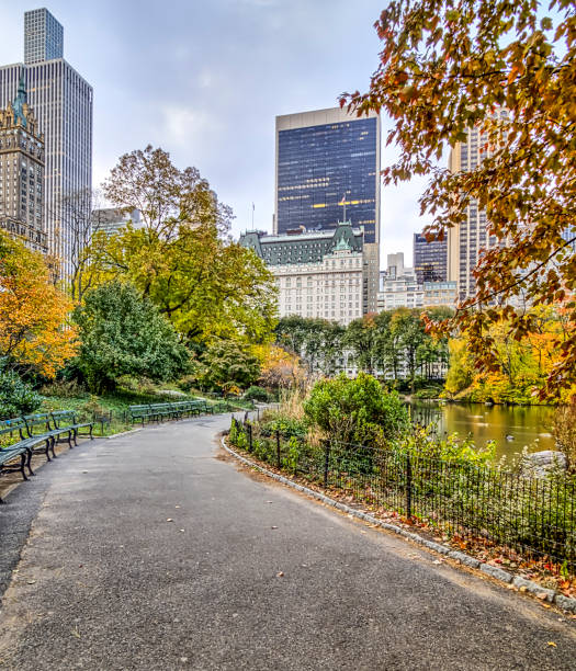 istock Central Park, New York City 1008324488