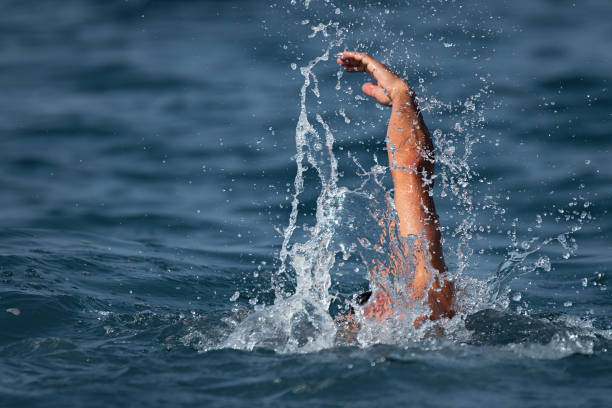 istock Man swimmer swimming crawl 1008324888