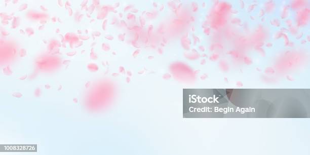 Sakura Petals Falling Down Romantic Pink Flowers Gradient Flying Petals On Blue Sky Wide Backgroun Stock Illustration - Download Image Now