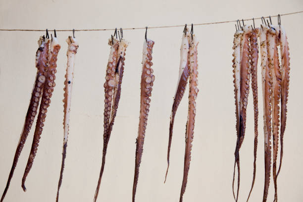 istock Fresh Octopus hanging in the sun to dry in Molivos, Greece 1008330792