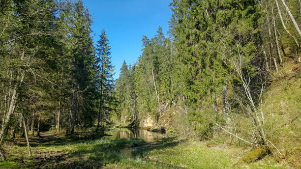 istock mirror clifs, Nature trails of Gauja river, Latvia. 1008331016