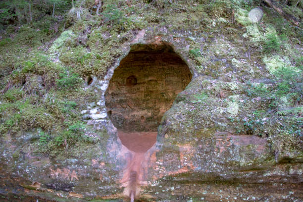 grotte de rouge, sentiers de la rivière gauja. - cave fern flowing forest photos et images de collection