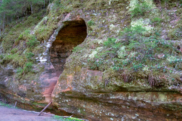 grotte de rouge, sentiers de la rivière gauja. - cave fern flowing forest photos et images de collection