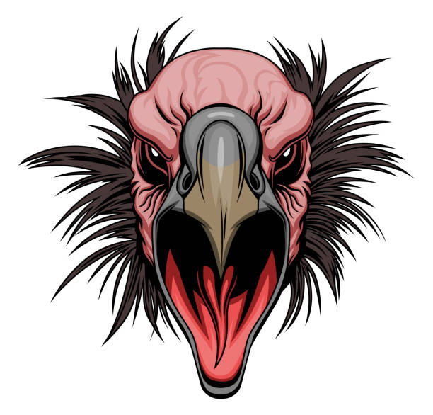 Vulture head Screaming vulture head on the white background. vulture stock illustrations